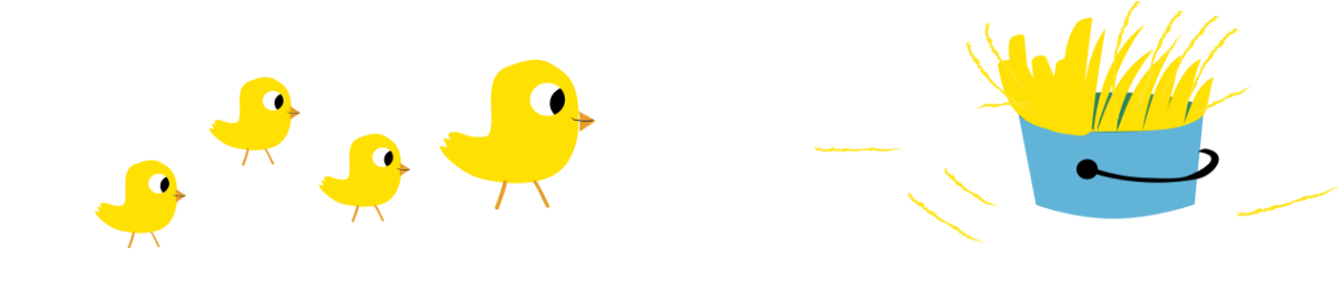 Ducks